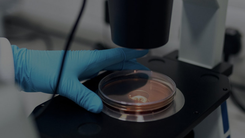 Background image for Pharma & Chemicals